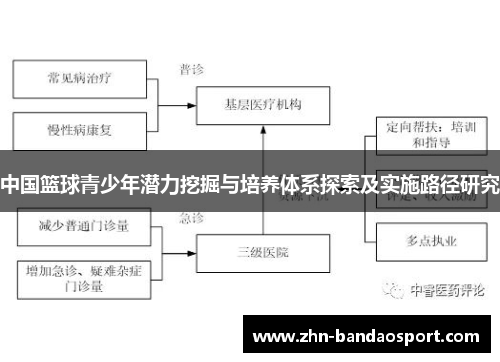 中国篮球青少年潜力挖掘与培养体系探索及实施路径研究