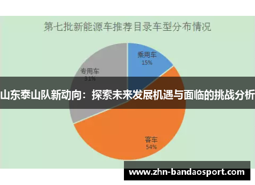 山东泰山队新动向：探索未来发展机遇与面临的挑战分析