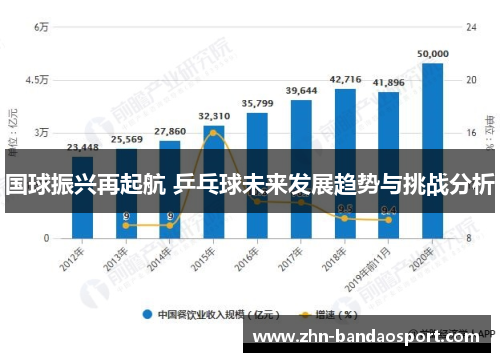 国球振兴再起航 乒乓球未来发展趋势与挑战分析