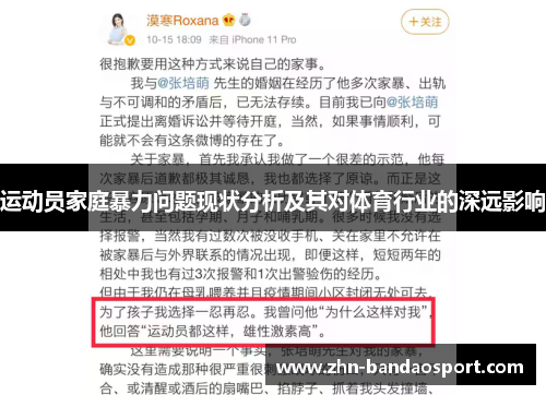 运动员家庭暴力问题现状分析及其对体育行业的深远影响