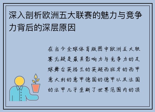深入剖析欧洲五大联赛的魅力与竞争力背后的深层原因