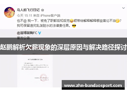 赵鹏解析欠薪现象的深层原因与解决路径探讨