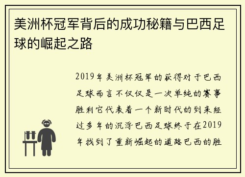 美洲杯冠军背后的成功秘籍与巴西足球的崛起之路