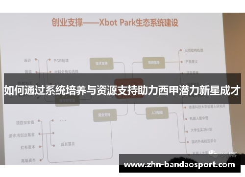 如何通过系统培养与资源支持助力西甲潜力新星成才 如何通过系统培养与资源支持助力西甲潜力新星成才